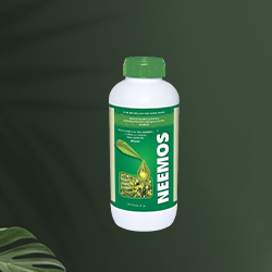insecticide