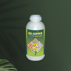 fertilizer