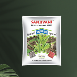 research seeds